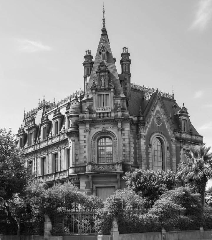 BowTiedMara tweet media