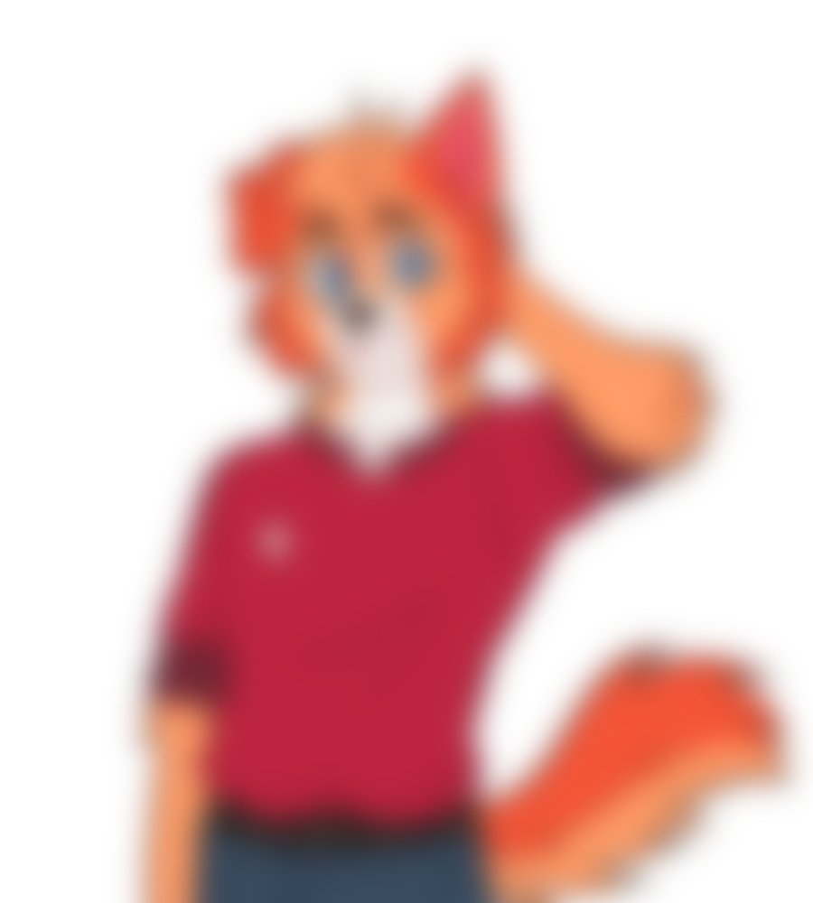 Daily Rofi tweet media