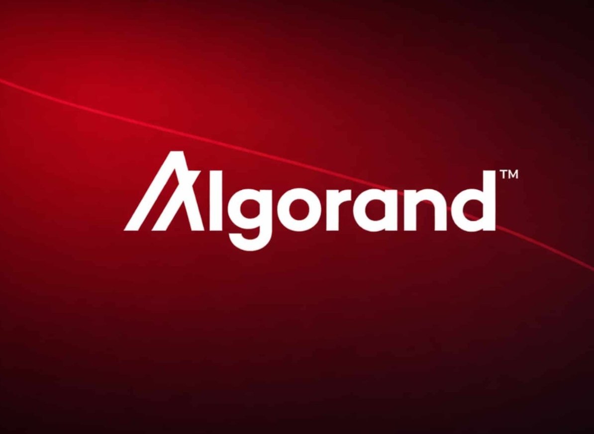 Sadiq Tech tweet media