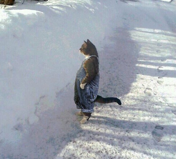 bibi 🌸 tweet media