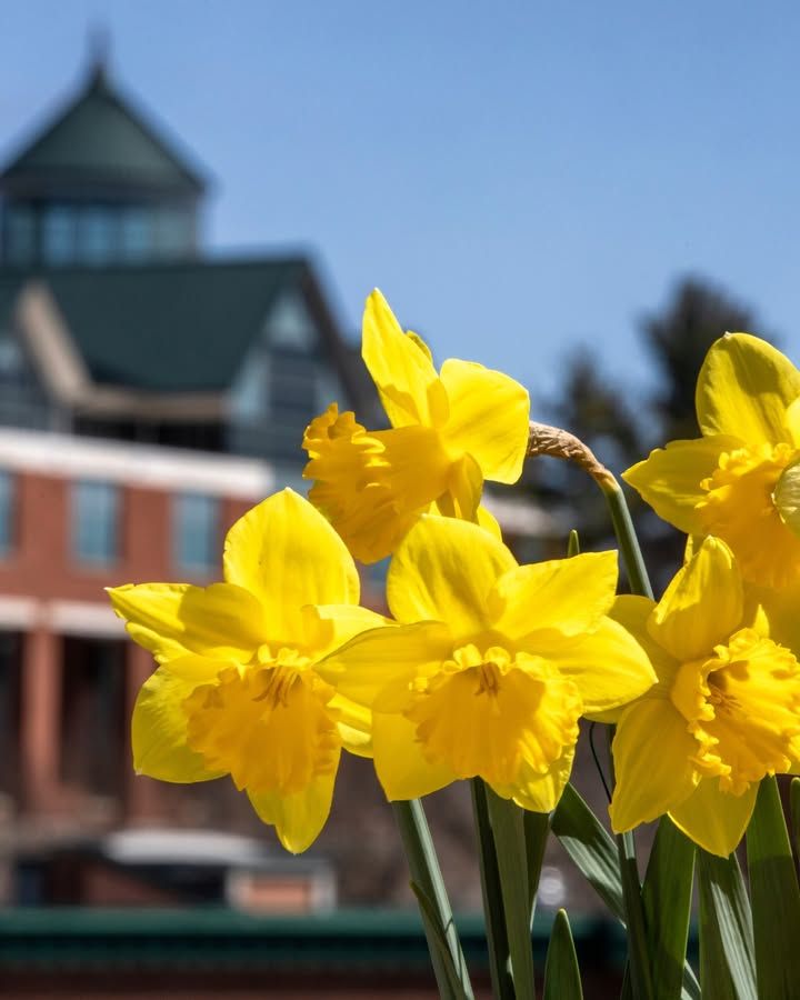 Appalachian State tweet media