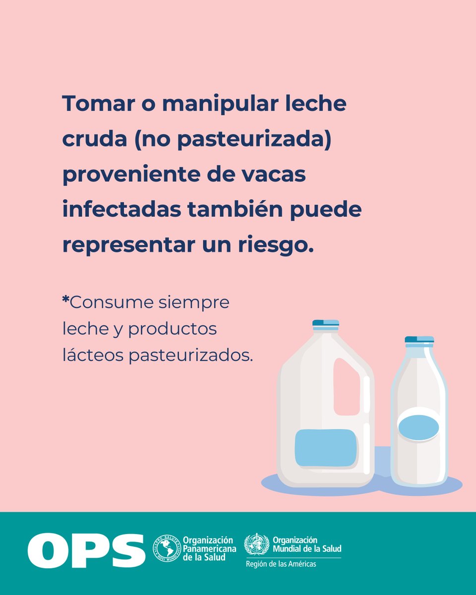 OPS/OMS Panamá tweet media