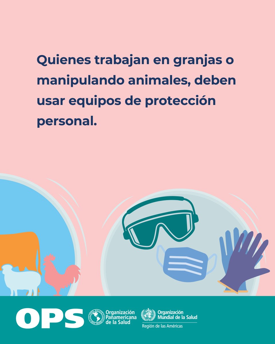 OPS/OMS Panamá tweet media