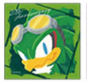 Daily Jet the hawk💚💨 tweet media