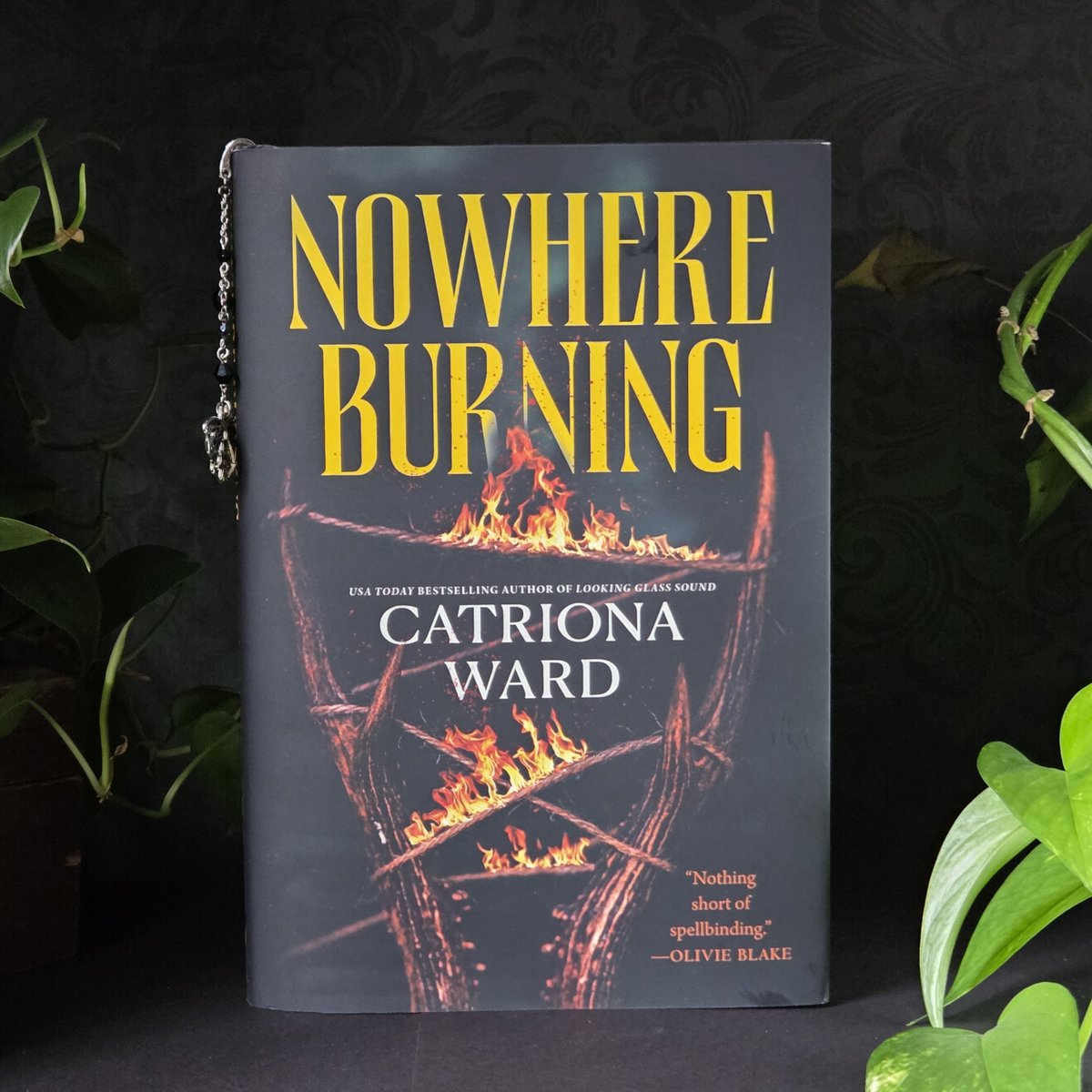 Lydia Peever : Typical Books 🍁 tweet media