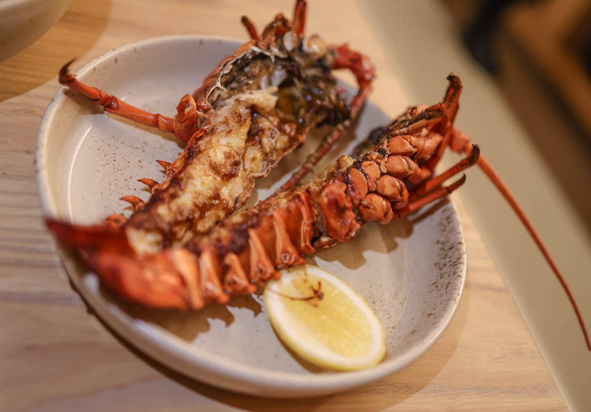 Virginia Miller tweet media