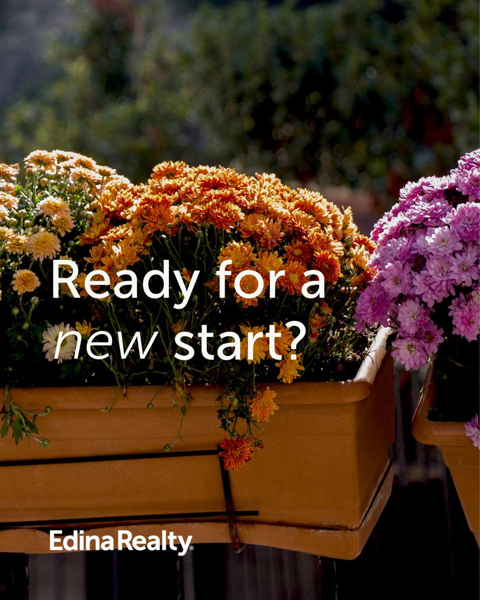 Shawn Palmer tweet media