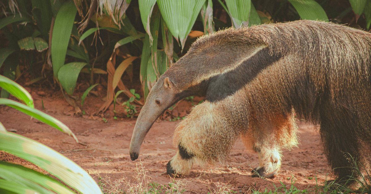 Daniel G. Amen, M.D. tweet media