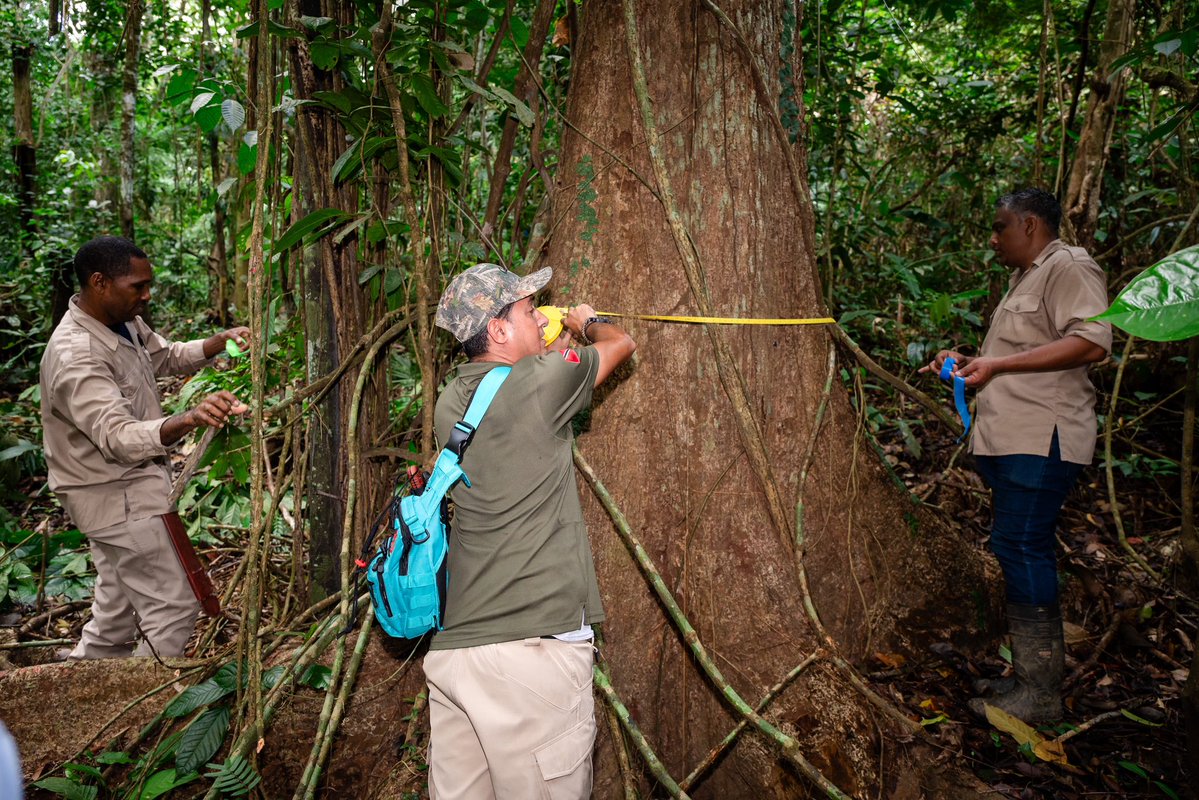 Environmental Management Authority tweet media