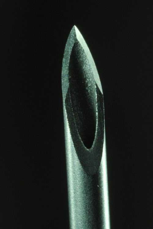 amalgamatomaton tweet media