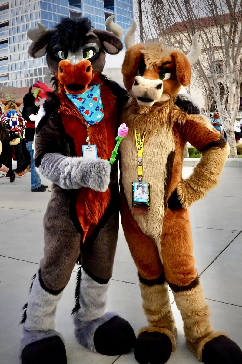 bentobull.bsky.social tweet media