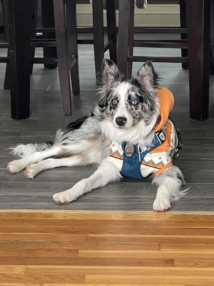 _RunHomeJack_ tweet media