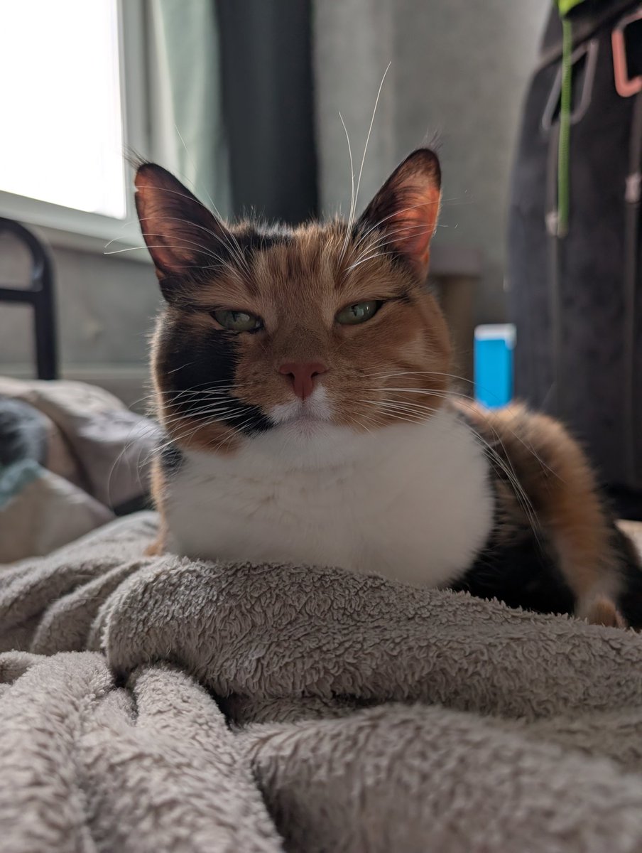 Кошка хвхвхаха

LET ENHYPEN CREATE  
#PROTECT_OUR_SEVEN 
#LET_ENHYPEN_CREATE