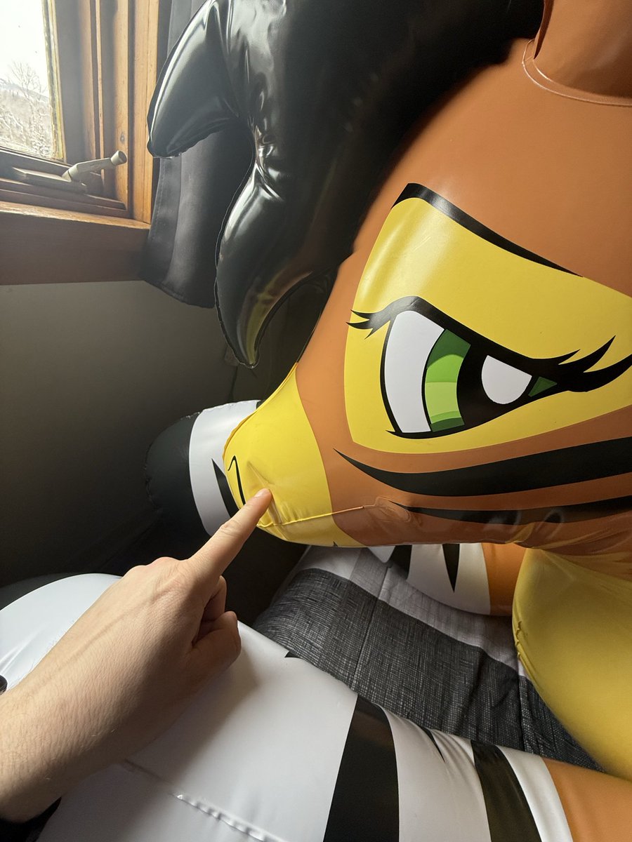 Nøurs 🧸⚡️🐻 tweet media