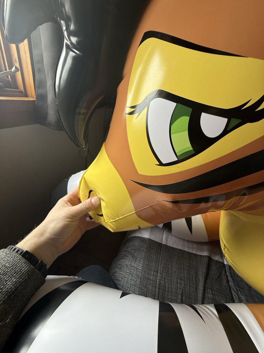 Nøurs 🧸⚡️🐻 tweet media