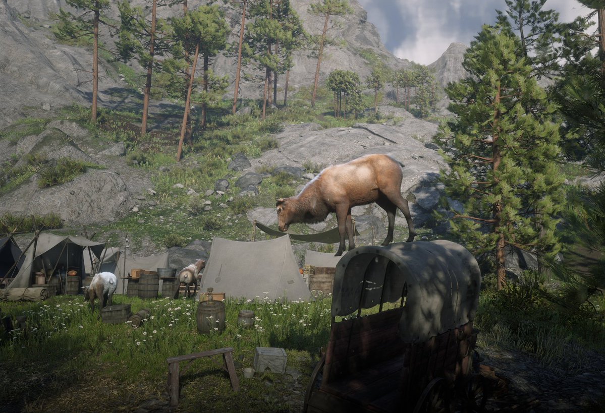 EducativeFunds tweet media