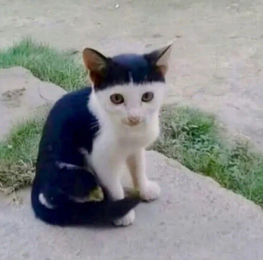 6V0 This action will have consequences… tweet media