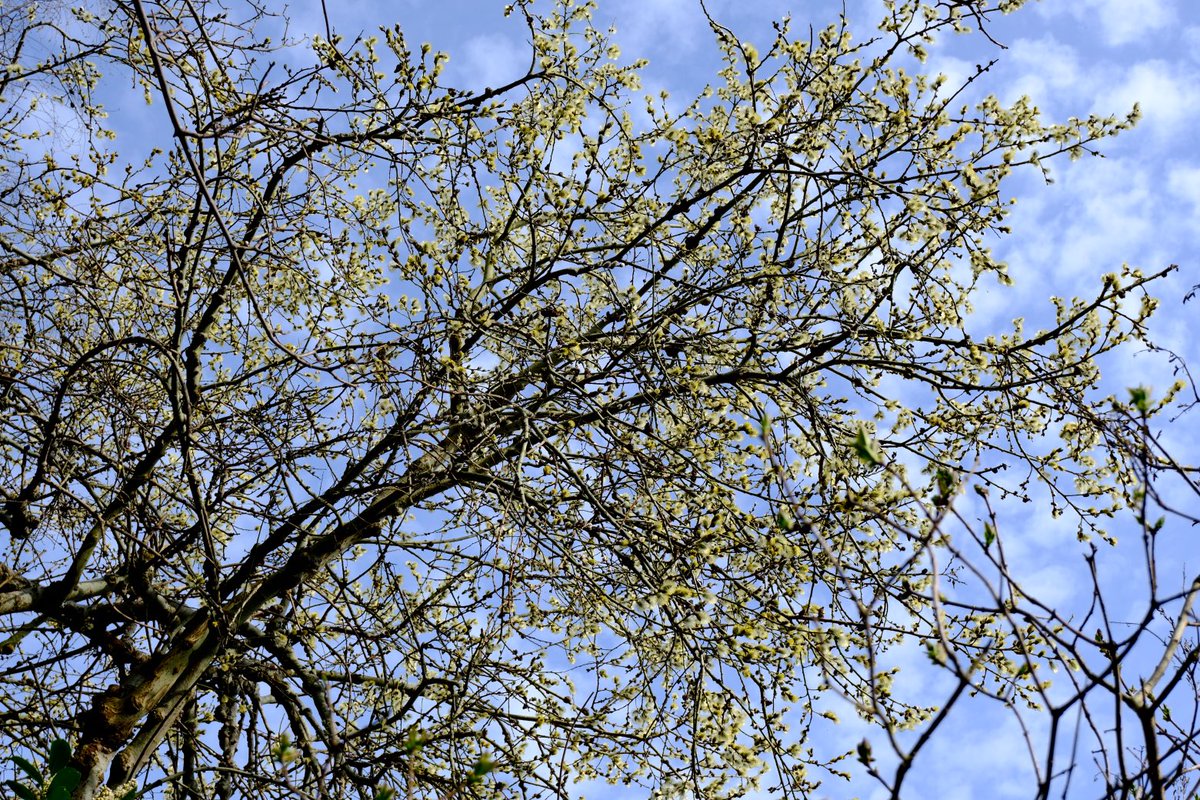 David Turner tweet media