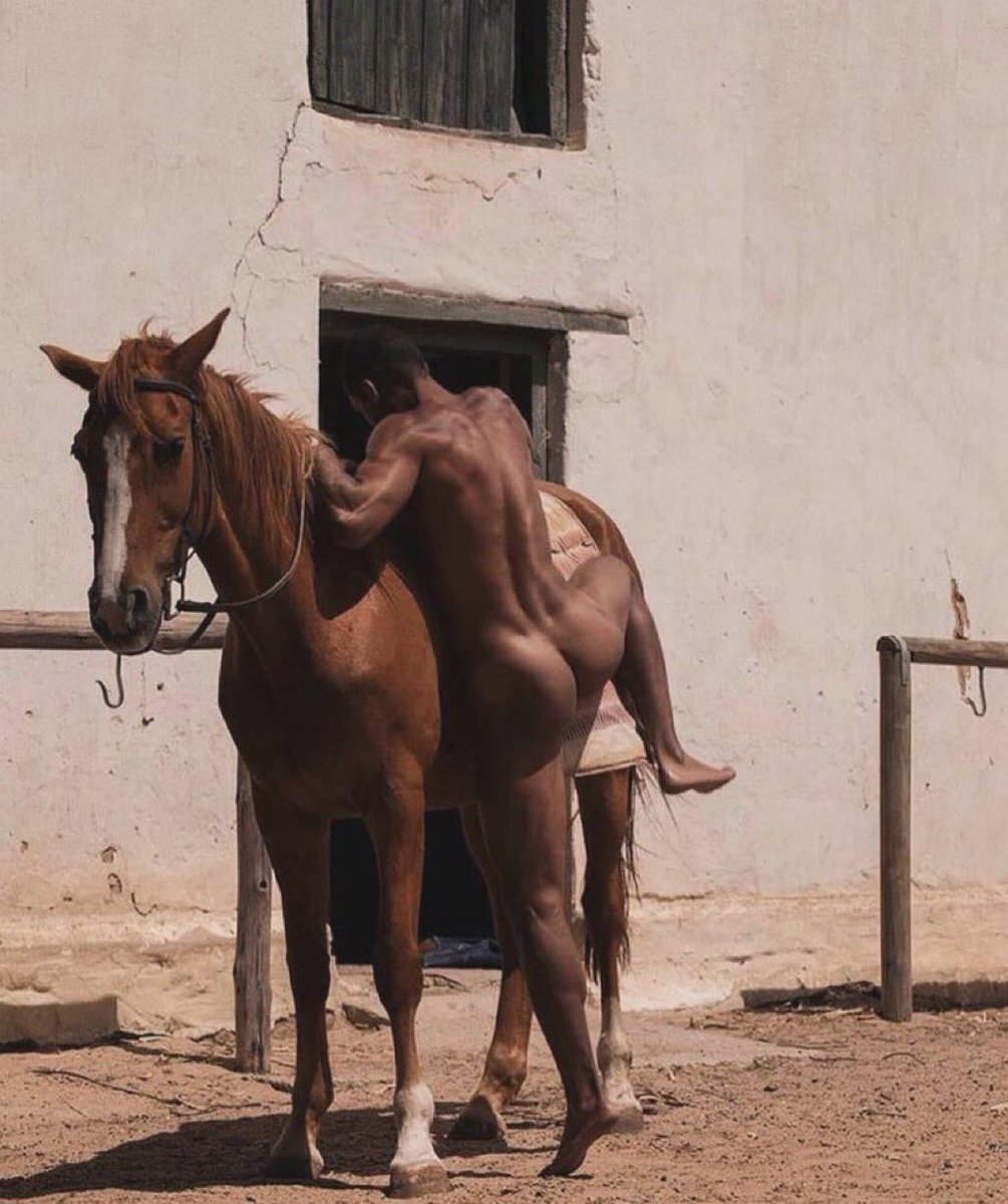 Mr Selenium tweet media