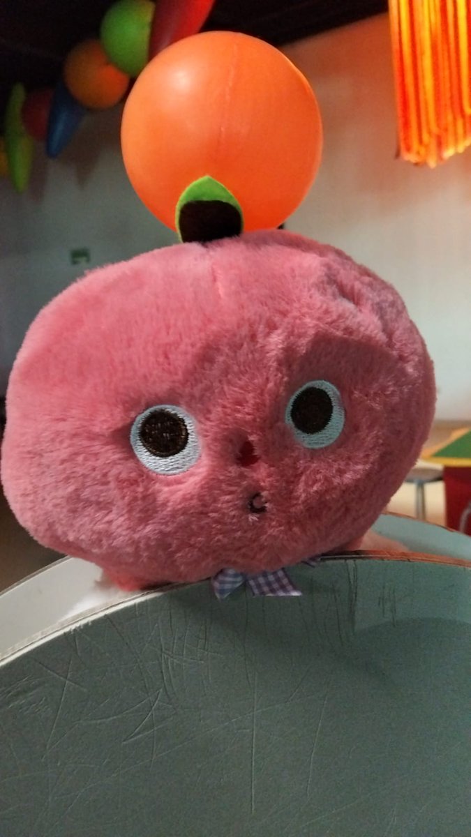 CORSO 🐊 tweet media