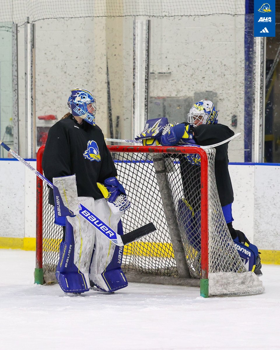 Delaware Ice Hockey tweet media