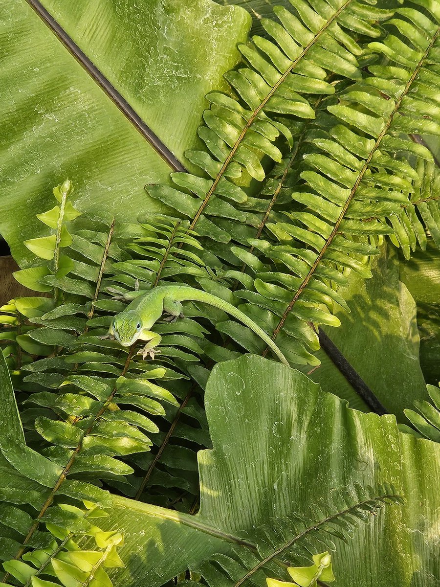 FrostzMonkey tweet media