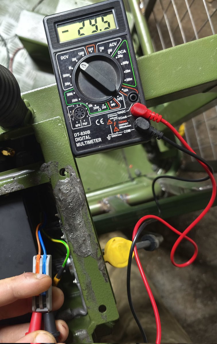 Тернистий Зореліт 😺 tweet media