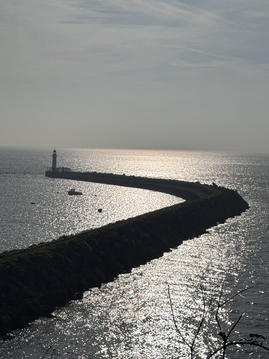 Zing Tours tweet media