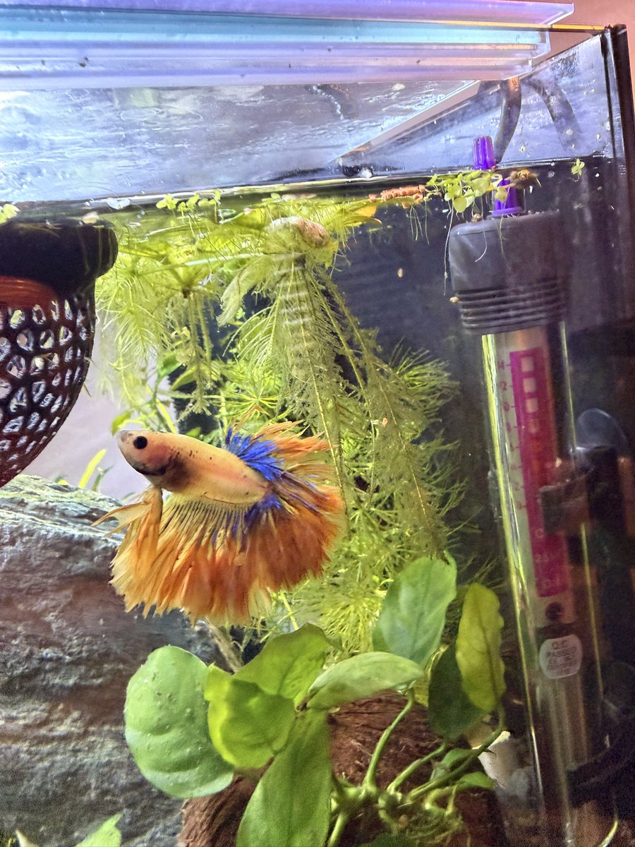 NikeAirBri tweet media