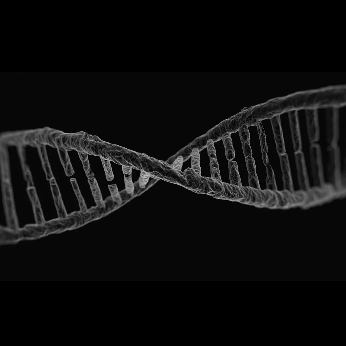 Modern Mythos ☀️ tweet media