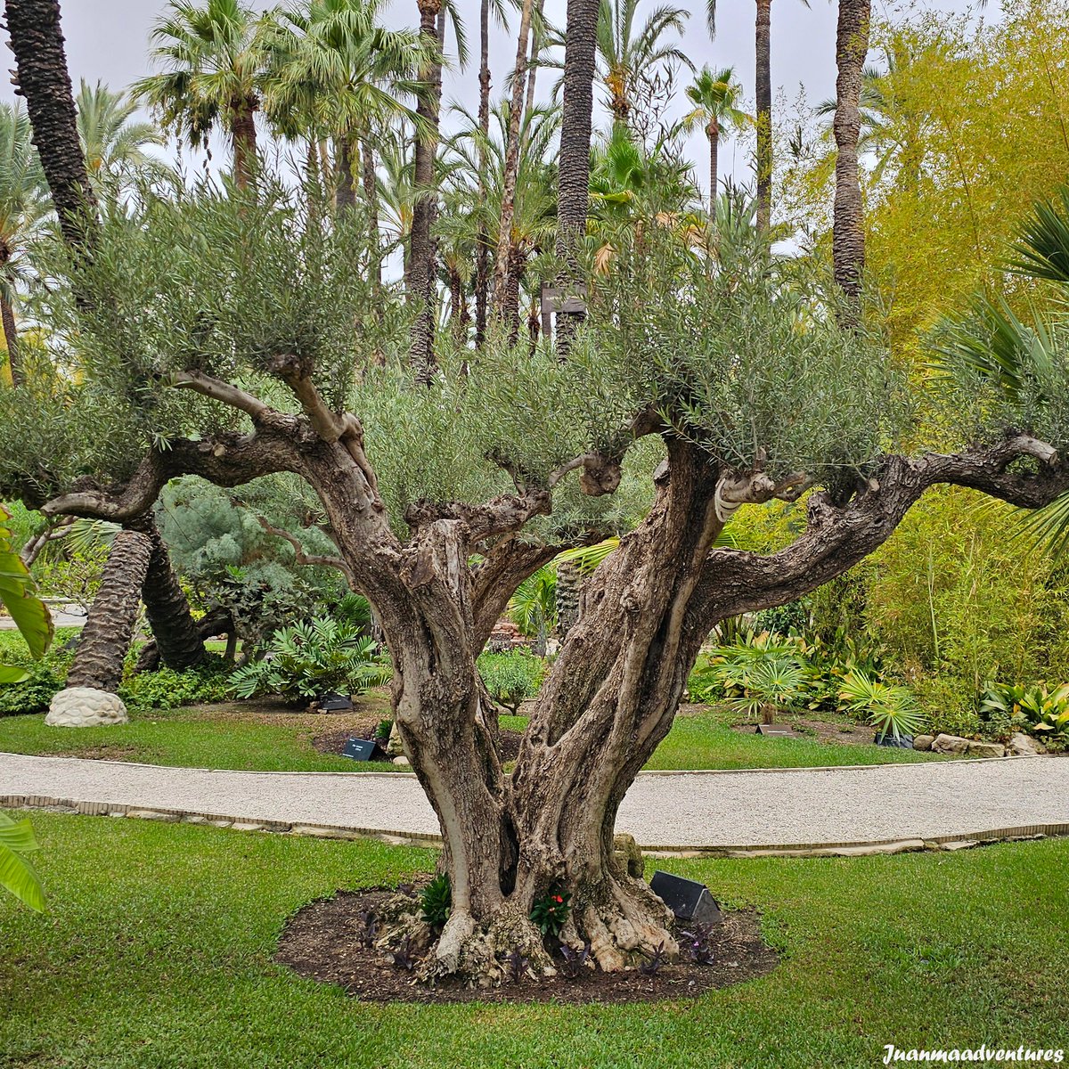 Juanmaadventures 📸🌍🚵 🥾 tweet media