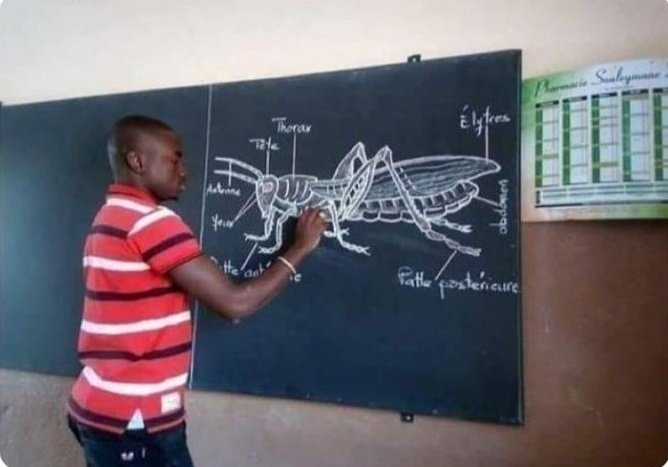 Dido Prediction tweet media