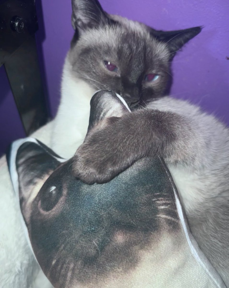 Aoi ❤️‍🩹 tweet media