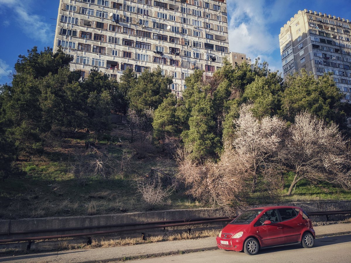 Georgia Pictures 🇺🇦 tweet media