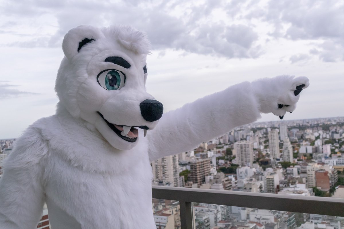 Ursidae Suits! tweet media