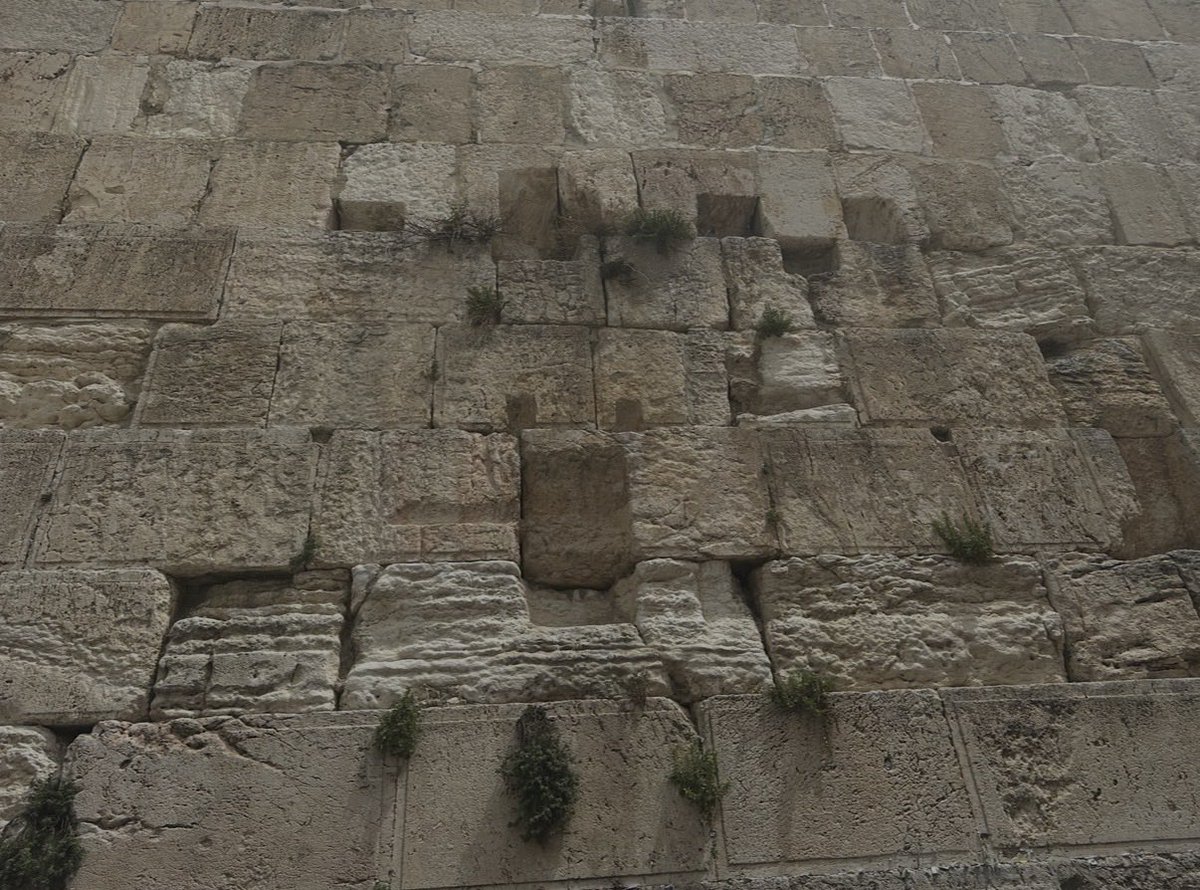 Katie Pavlich tweet media