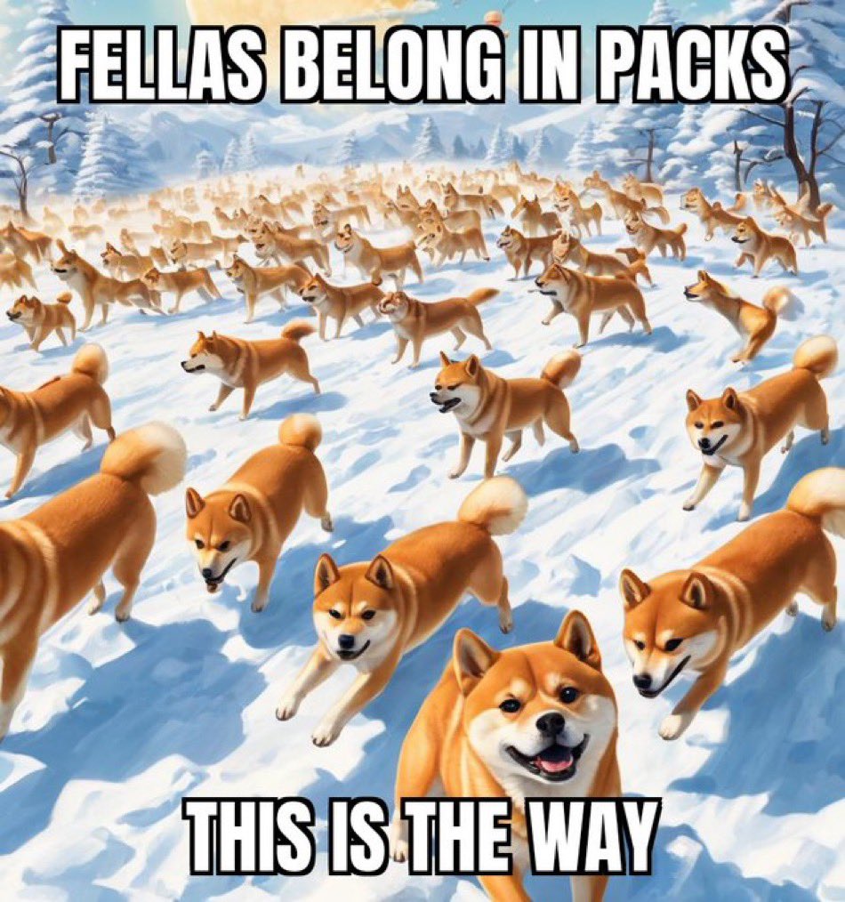 agnieszka reichenbac tweet media