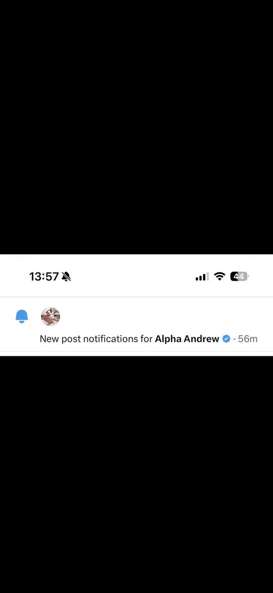 Alpha Andrew tweet media