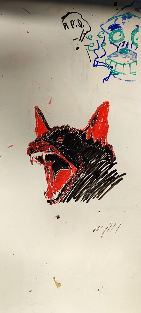 Fischudidi tweet media