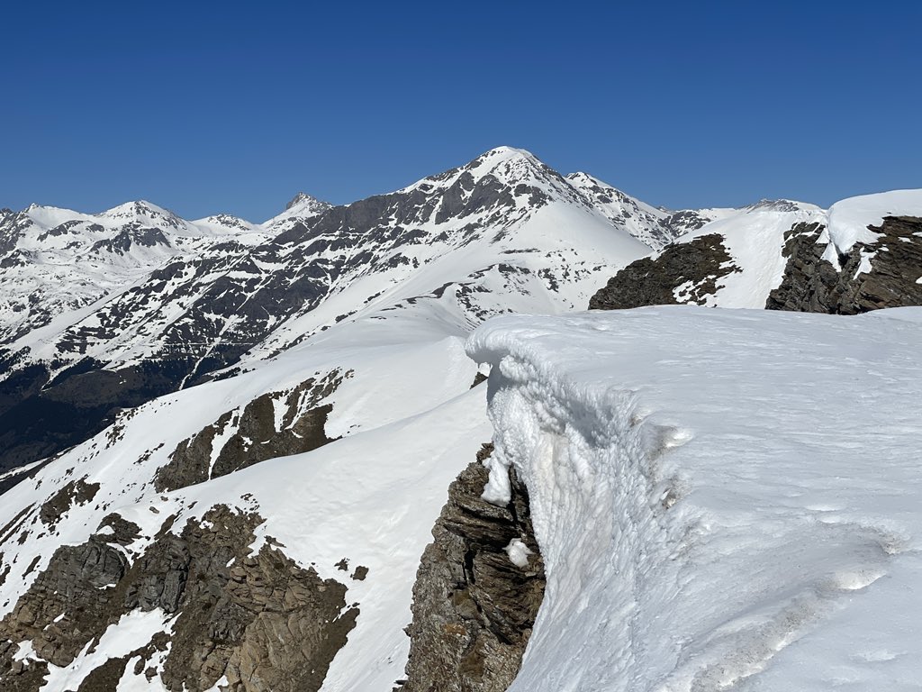 vep culleré tweet media