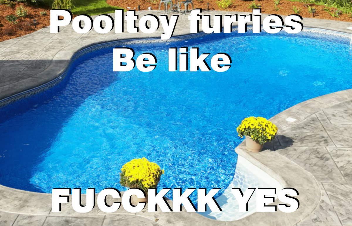 Awen 🟨⬜️🟪⬛️ tweet media