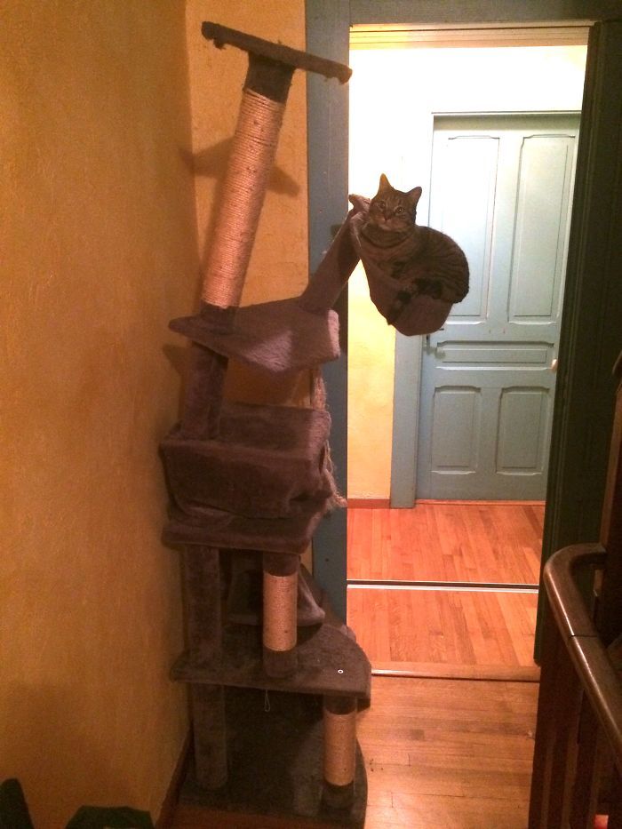 Brandon ッ tweet media