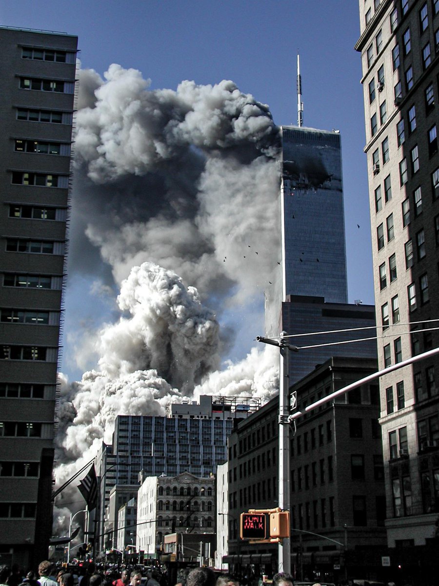 Vivi (Or Piper)💙 tweet media