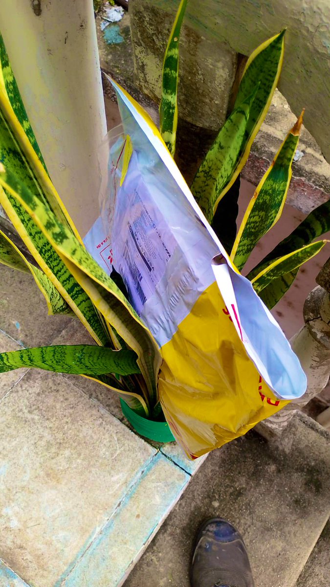 .ೃ࿔*medicenroxy𝜗𝜚˚ tweet media