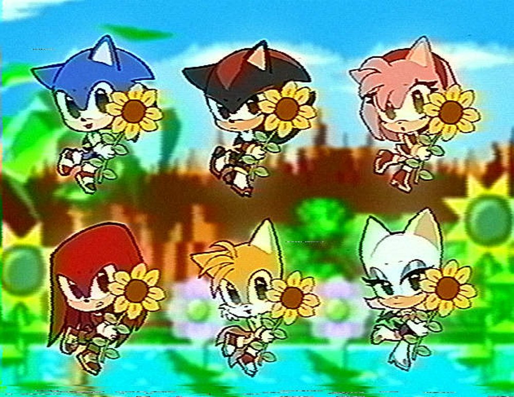 🌻
#SonicTheHedgehog