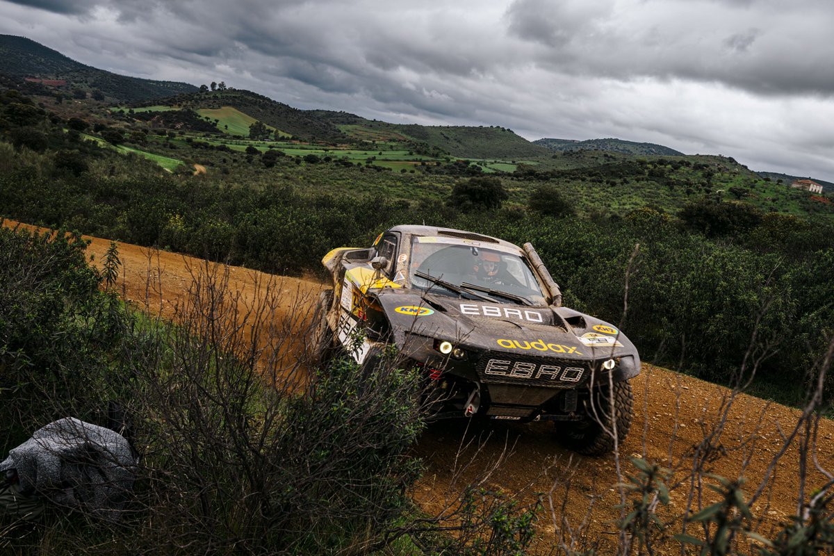 Mediagé Comunicación tweet media