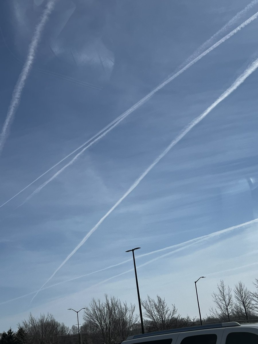 ChikinMom tweet media