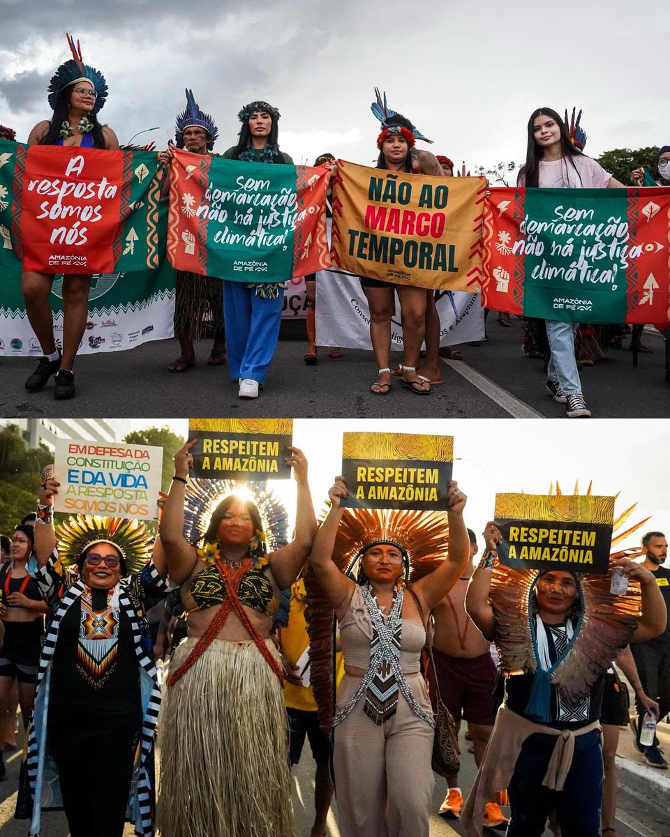 Soraya🪇 tweet media