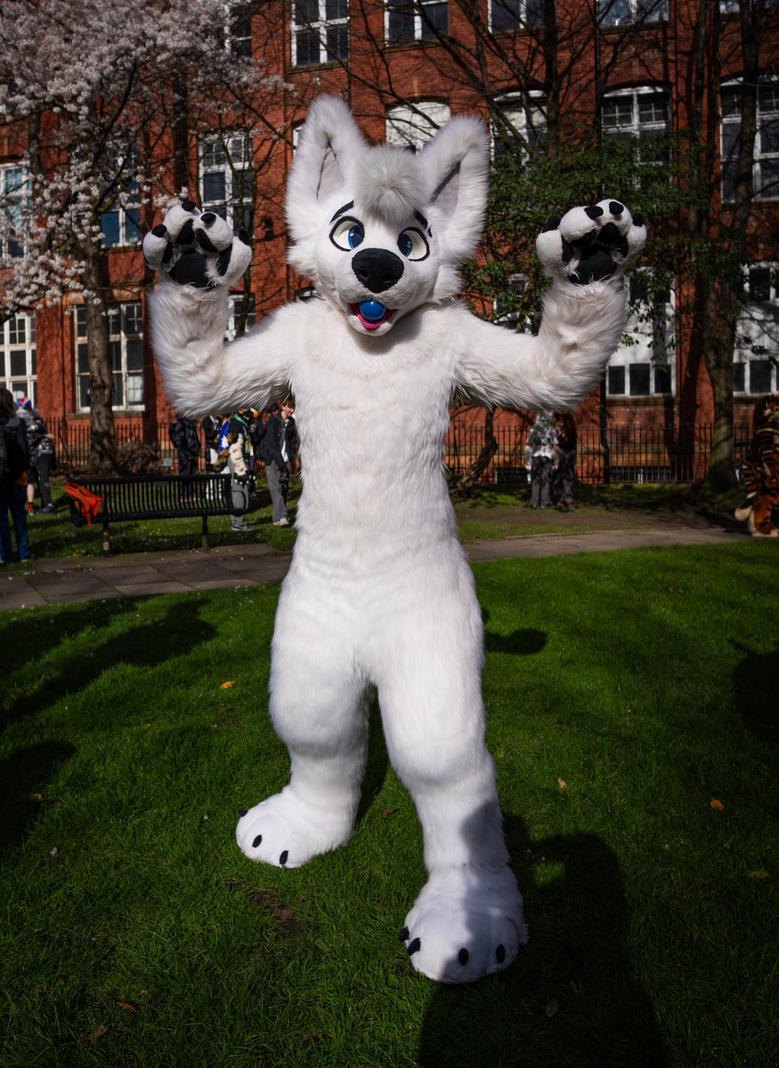 Double 🔜 CFZ26, EF30 tweet media