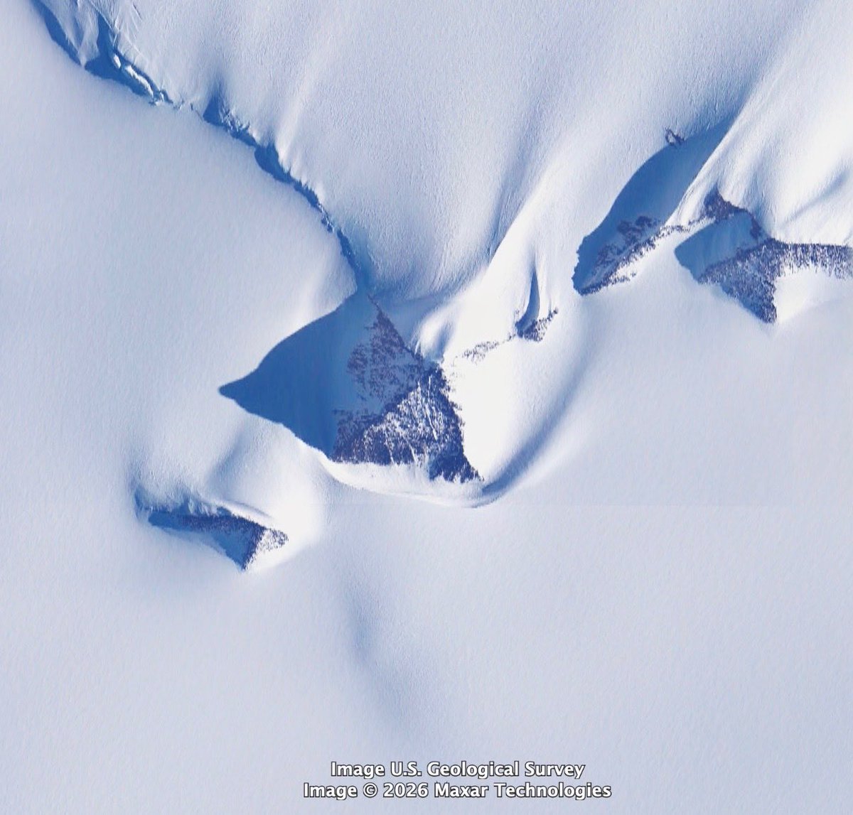 Pascal Lee tweet media